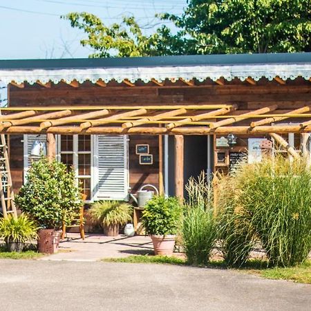 Ferienwohnung Cab'Ane Guémar Exterior foto